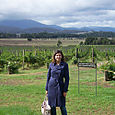 Domaine_chandon_11