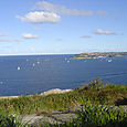 Manly_scenic_walk_35