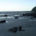 Cape Tribulation 5