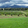 Domaine_chandon_7