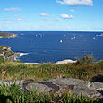 Manly_scenic_walk_31