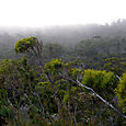 Freycinet 313