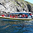 Bruny Island 114