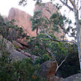 Freycinet 135