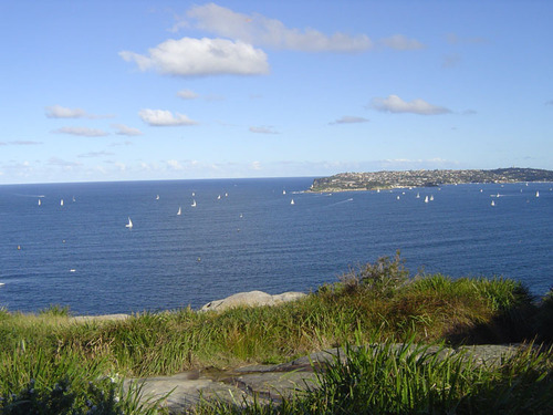 Manly_scenic_walk_35